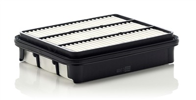 MANN-FILTER C 2438 EAN: 4011558205805.