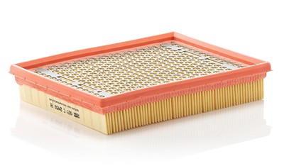 MANN-FILTER C 2452 EAN: 4011558178703.