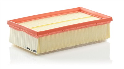 MANN-FILTER C 2485/1 EAN: 4011558381103.