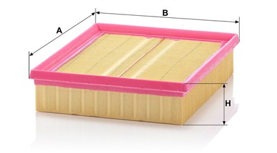 MANN-FILTER C 2498 EAN: 4011558206307.