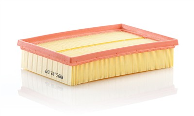 MANN-FILTER C 24 028 EAN: 4011558036737.