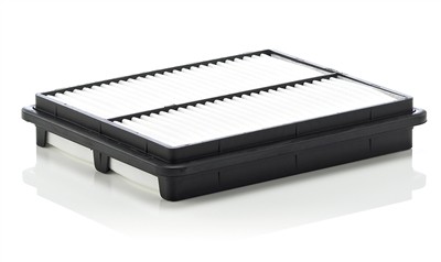 MANN-FILTER C 2537/1 EAN: 4011558209902.