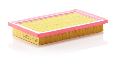 MANN-FILTER C 2568/1 EAN: 4011558172800.