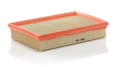 MANN-FILTER C 2589 EAN: 4011558378004.