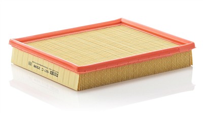 MANN-FILTER C 2598 EAN: 4011558183004.