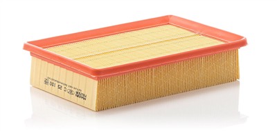 MANN-FILTER C 25 100 EAN: 4011558168100.