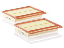 MANN-FILTER C 25 110-2