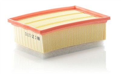 MANN-FILTER C 25 117/2 EAN: 4011558013066.