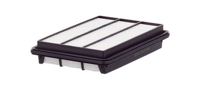 MANN-FILTER C 25 200 EAN: 4011558812324.