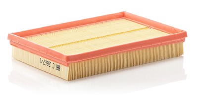 MANN-FILTER C 2667/1 EAN: 4011558217402.