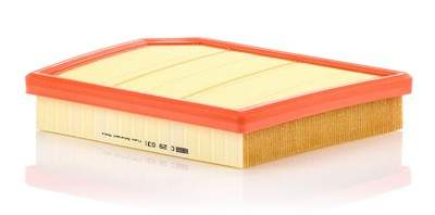 MANN-FILTER C 29 031 EAN: 4011558803483.