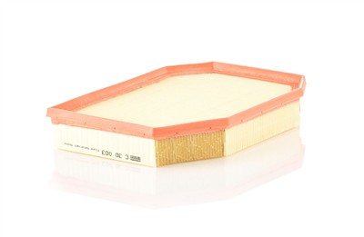 MANN-FILTER C 30 003 EAN: 4011558012496.