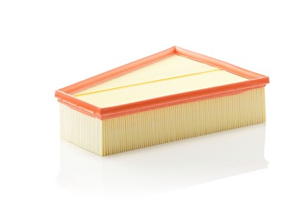 MANN-FILTER C 30 161 EAN: 4011558368906.