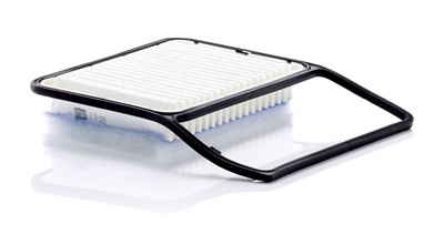 MANN-FILTER C 31 008 EAN: 4011558064280.