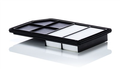 MANN-FILTER C 31 038 EAN: 4011558829971.