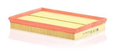 MANN-FILTER C 31 123 EAN: 4011558814090.