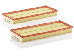 MANN-FILTER C 3698/3-2