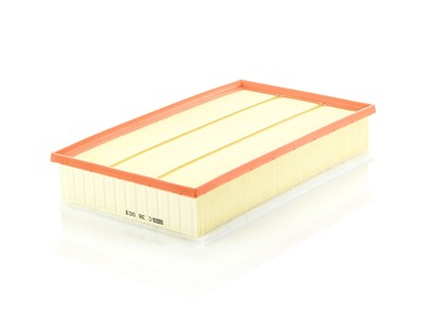 MANN-FILTER C 38 003 EAN: 4011558061883.