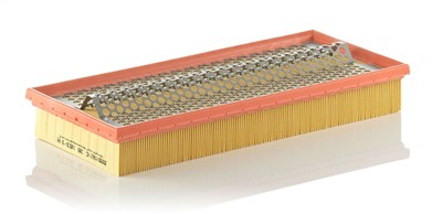 MANN-FILTER C 38 163/1 EAN: 4011558139605.