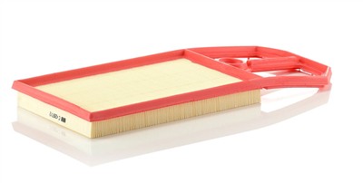 MANN-FILTER C 4287/2 EAN: 4011558207601.