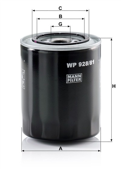 MANN-FILTER WP 928/81 EAN: 4011558959104.