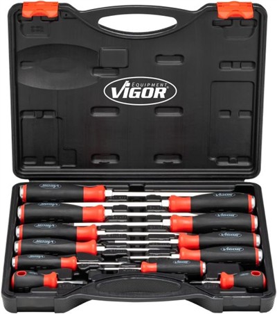 VIGOR V5010/12 EAN: 4047728086981.