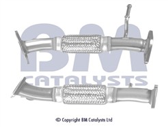 BM CATALYSTS BM50479