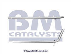 BM CATALYSTS BM50566