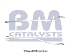 BM CATALYSTS BM50623