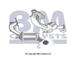 BM CATALYSTS BM91974H