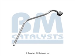 BM CATALYSTS PP11099A