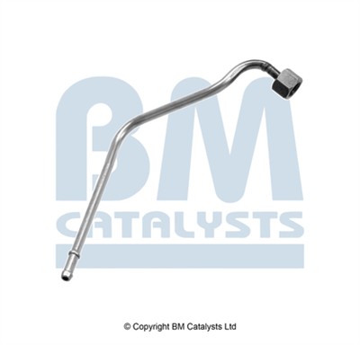 BM CATALYSTS PP11099A