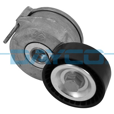 DAYCO APV3753 EAN: 8021787208153.