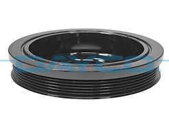DAYCO DPV1769