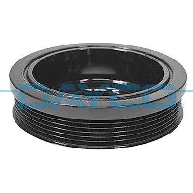 DAYCO DPV1769