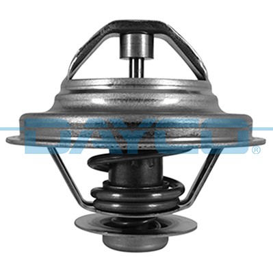 DAYCO DT1009V EAN: 8021787208948.