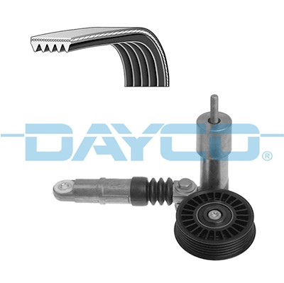 DAYCO KPV254 EAN: 8021787113600.