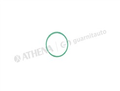 GUARNITAUTO 184763-8100