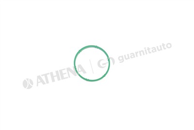 GUARNITAUTO 184763-8100