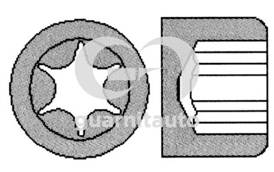 GUARNITAUTO 702507-1010 Číslo výrobce: 11 02 783 (10x).