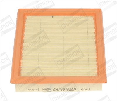 CHAMPION CAF101029P EAN: 4044197943746.