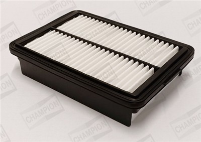 CHAMPION CAF101249P EAN: 4060426466329.