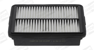 CHAMPION CAF101249P EAN: 4060426466329.