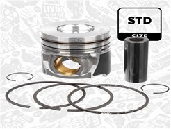 ET ENGINETEAM PM002900