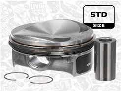 ET ENGINETEAM PM006000