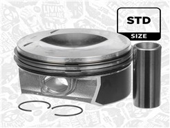 ET ENGINETEAM PM008700