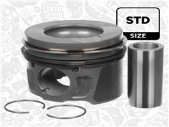 ET ENGINETEAM PM010500