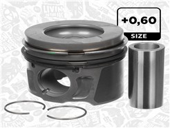 ET ENGINETEAM PM010560