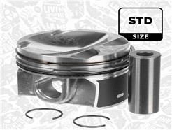 ET ENGINETEAM PM012700