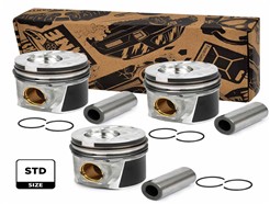 ET ENGINETEAM PM013800